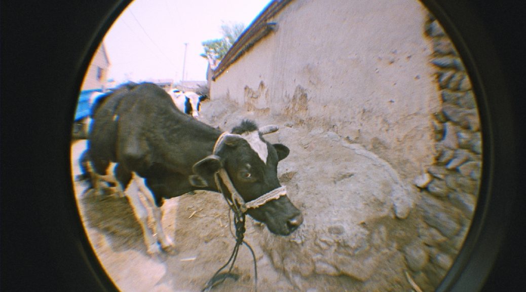 "Postal Town, Hebei, 2006" | animasuir'06 (fisheye012)