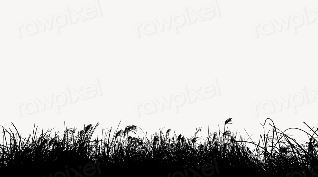 Grass bush silhouette border, nature