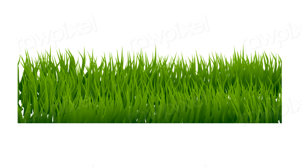 Grass bush png border sticker