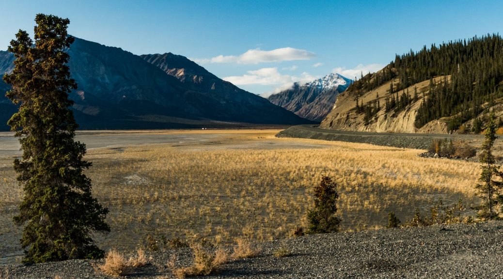 wide angle view of a field in yukon