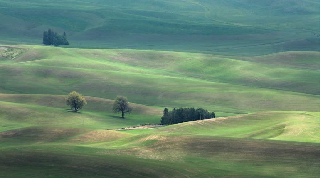 photo of green grass field