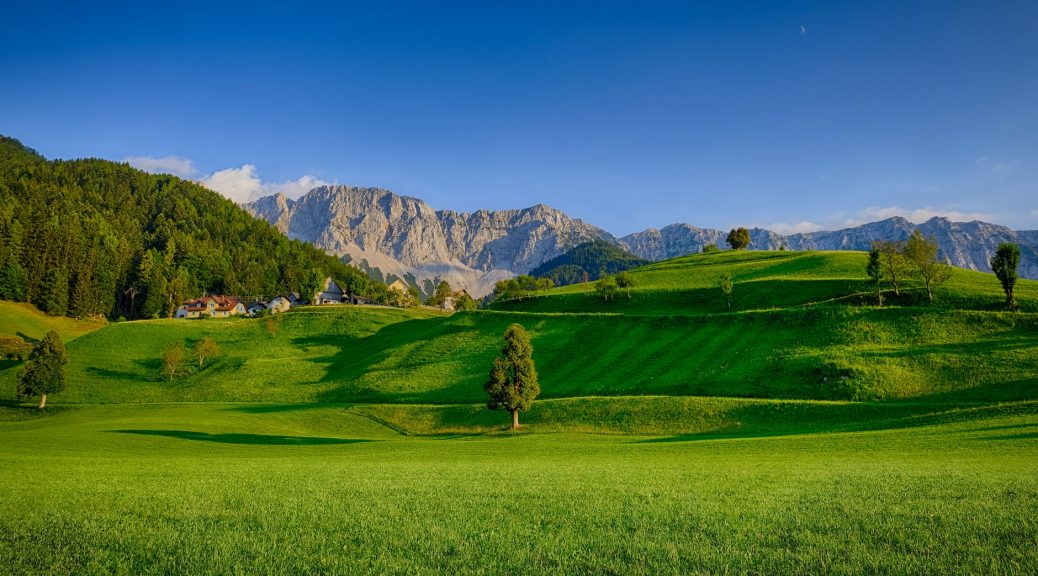 landscape photography of green grass field