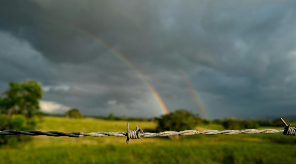 rainbow seen from a field