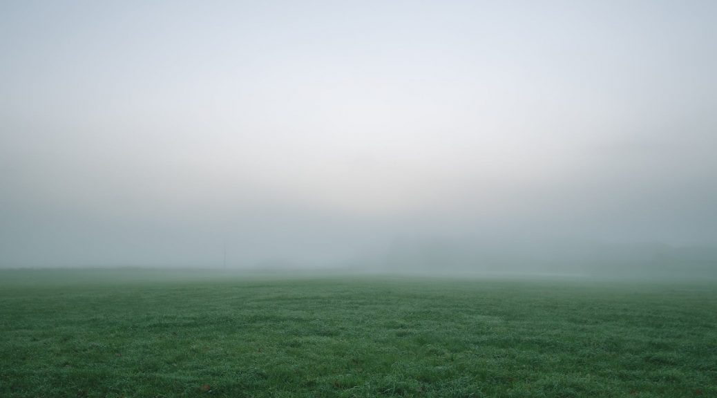 selective photography of green grass field under white and gray sky