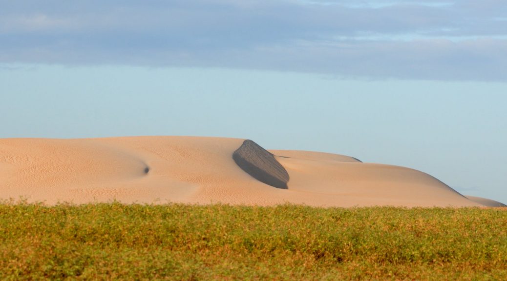 grassland and desert hill behind