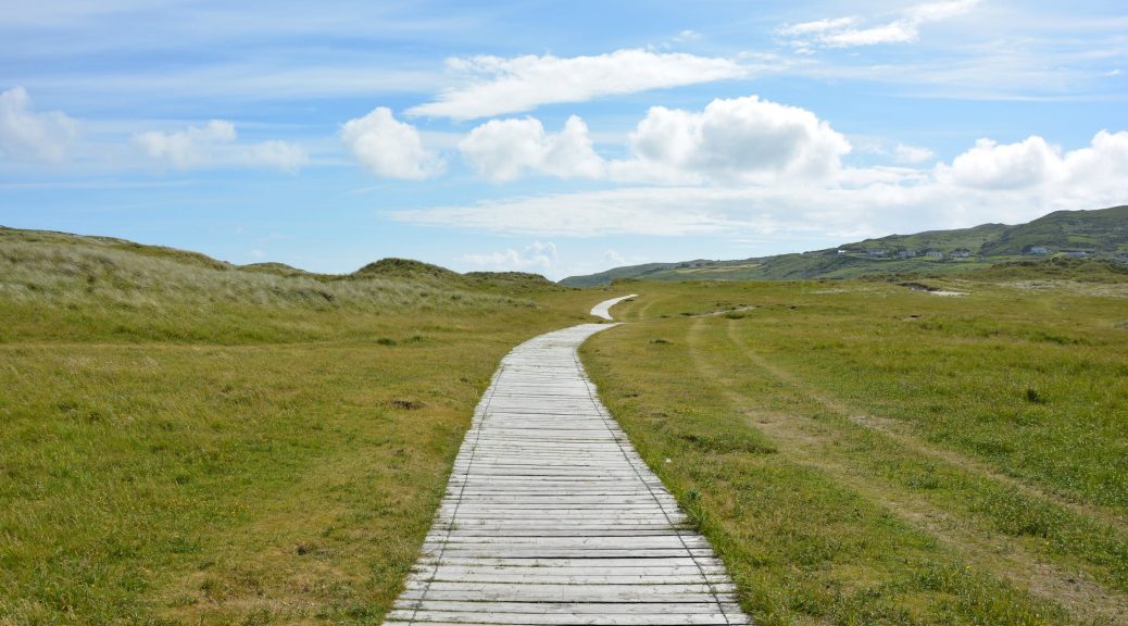 gray pathway in between grasses