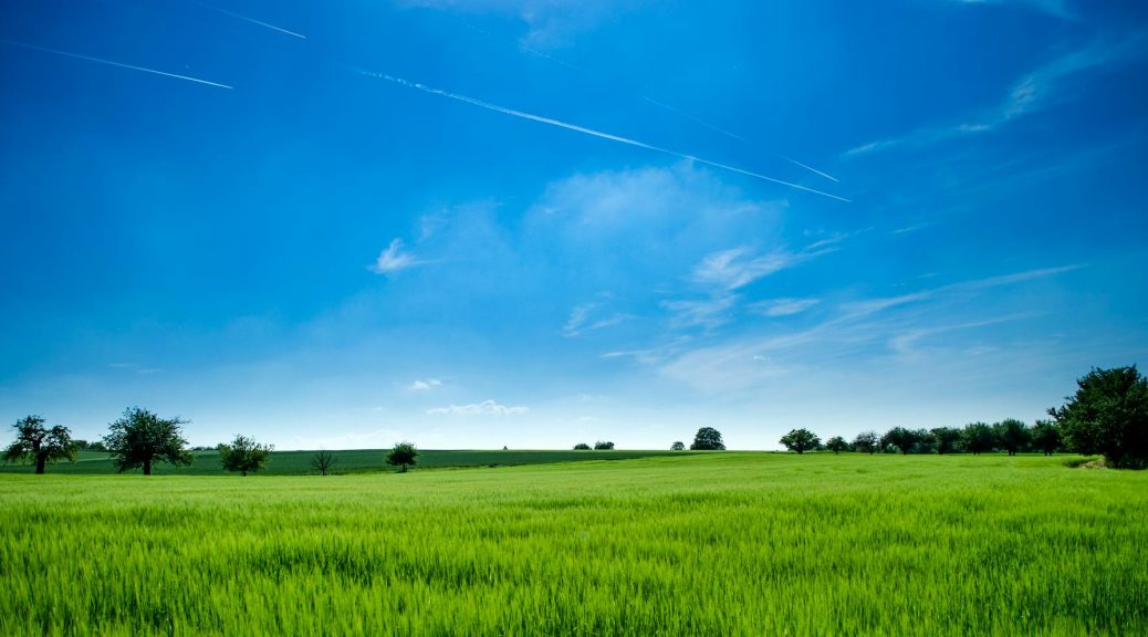 panoramic photography of green field