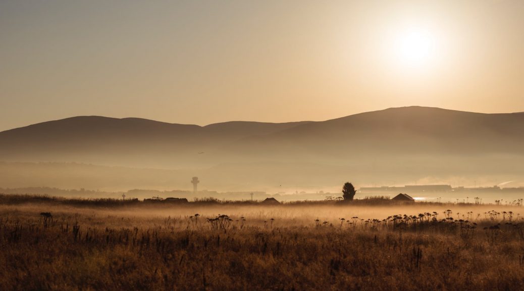 brown field during sunset