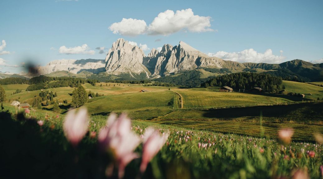 grassland and mountains behind