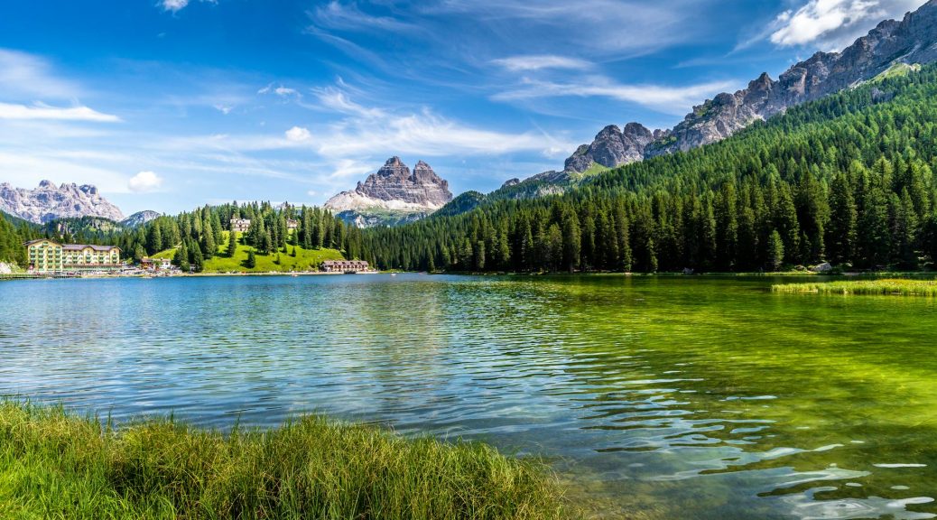 green trees near lake under blue sky