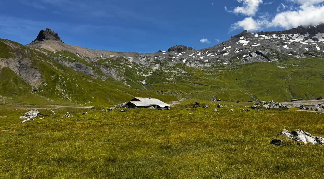 a grassy field with mountains in the background